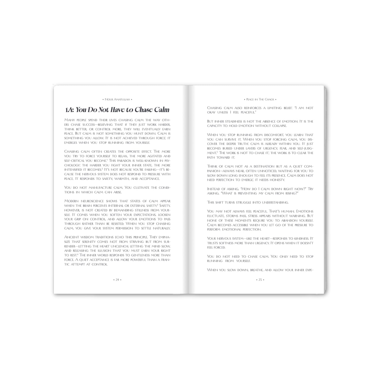 Peace in The Chaos — Book 1: The Inner Foundation (EBOOK)